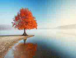 最‌新​元​标​签‌优﻿化​方﻿案﻿